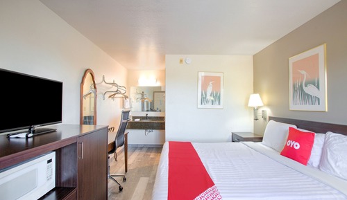 Room, 1 King Bed