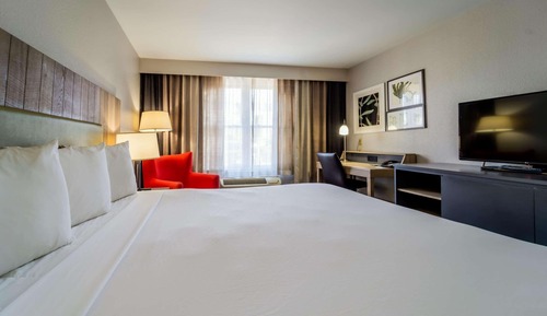 Room, 1 King Bed, Accessible, Non Smoking
