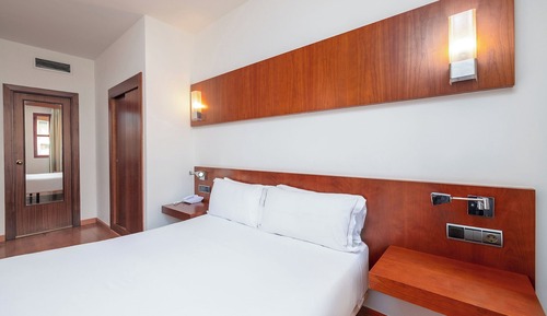 Double Room, 1 King Bed