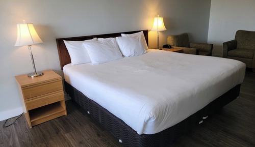 Room, 1 King Bed, Garden View
