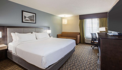 Room, 1 King Bed, Accessible, Non Smoking (Hearing Impaired)