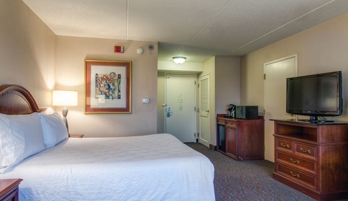 Room, 1 King Bed, Accessible