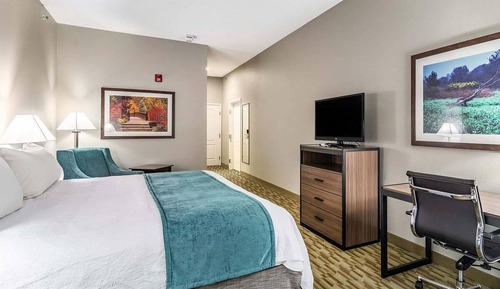 Standard Room, 1 King Bed, Non Smoking