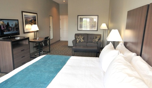Standard Room, 1 King Bed with Sofa bed, Non Smoking
