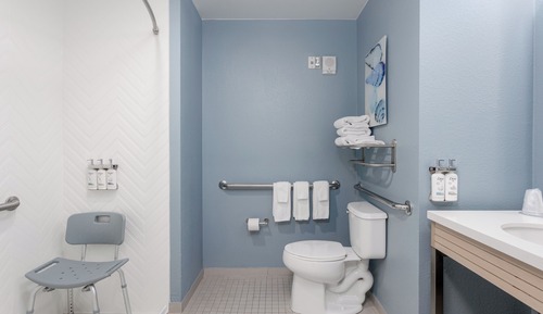 Standard Room, 1 King Bed, Roll-in Shower (Mobility)