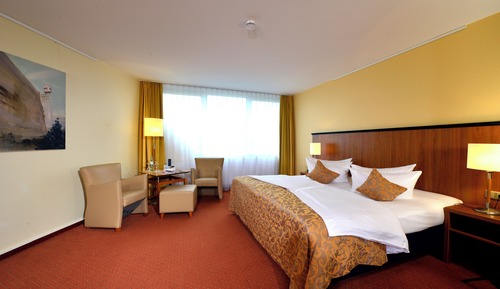 Superior Double Room (Basel or mountain view)