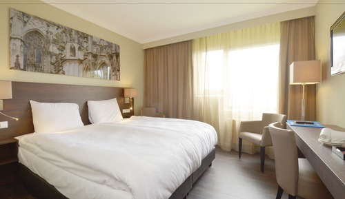 Double Room, Accessible (shower)