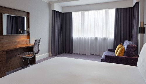 Room, 1 King Bed
