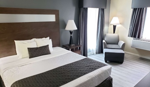 Standard Room, 1 King Bed, Non Smoking, Refrigerator & Microwave