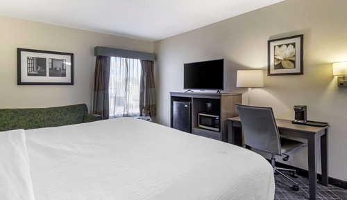 Room, 1 King Bed, Accessible, Non Smoking