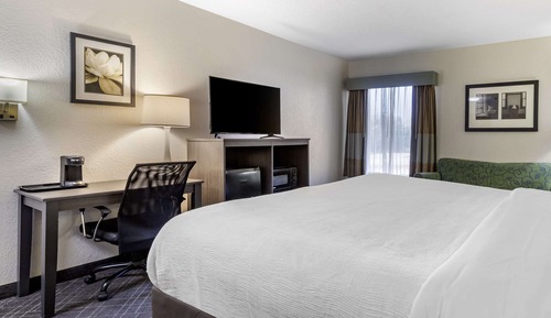 Standard Room, 1 King Bed, Non Smoking