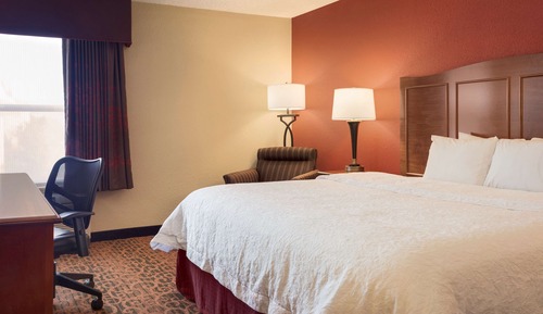 Room, 1 King Bed, Accessible, Non Smoking