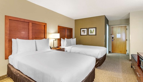 Standard Double Room, 2 Double Beds, Non Smoking