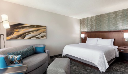 Room, 1 King Bed