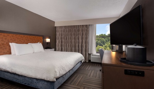 Room, 1 Double Bed, Accessible (Roll-In Shower)