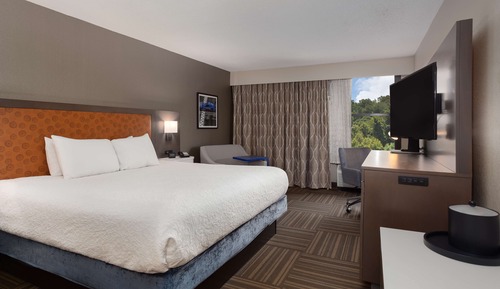 Room, 1 King Bed, Non Smoking