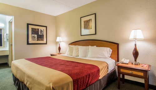 Standard Room, 1 King Bed, Non Smoking