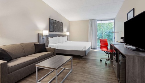 Room, 1 King Bed, Accessible, Non Smoking (Mobility/Roll-In Shower)