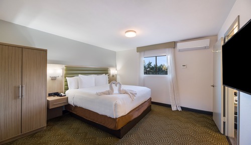 Premium Suite, Mountain View