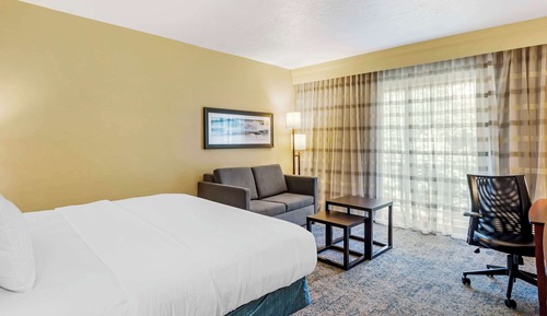 Standard Room, 1 King Bed, Non Smoking, Refrigerator (with Sofabed)