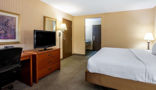 Studio Suite, 1 King Bed, Non Smoking