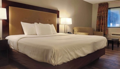 Standard Room, 1 King Bed, Non Smoking