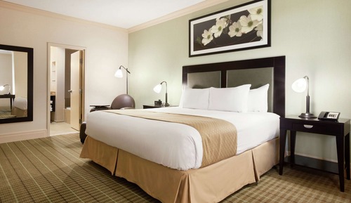 Deluxe Suite, 1 King Bed, Non Smoking