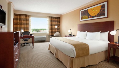Room, 1 King Bed, Non Smoking