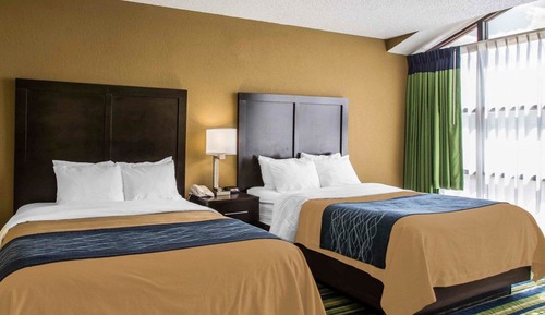 Suite, 2 Double Beds, Accessible, Non Smoking