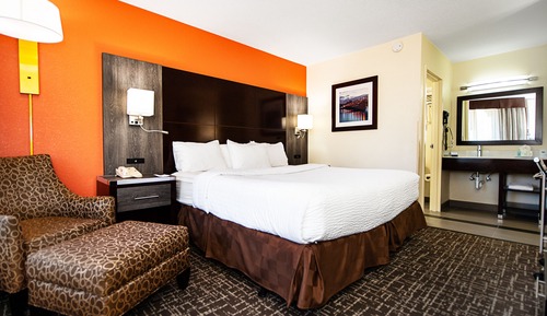 Standard Single Room, 1 King Bed, Non Smoking