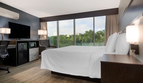 Standard Room, 1 King Bed, Refrigerator & Microwave, Lake View (Refrigerator & Microwave)