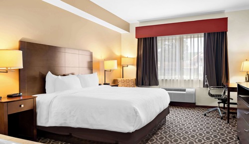 Business Room, 1 King Bed, Non Smoking, Jetted Tub