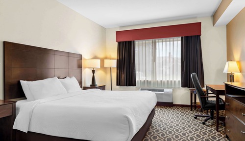 Business Room, 1 King Bed, Non Smoking