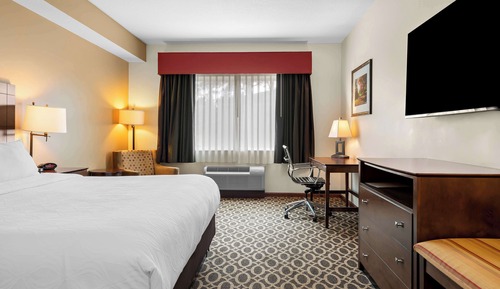 Business Room, 1 King Bed, Non Smoking