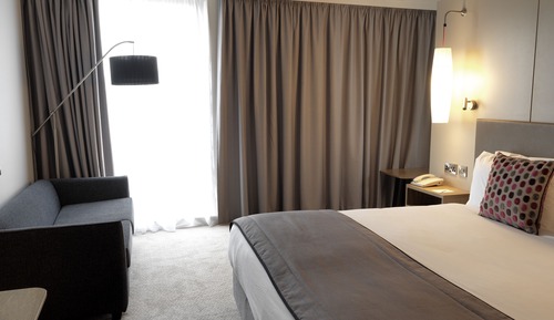 Standard Room, 1 King Bed with Sofa bed