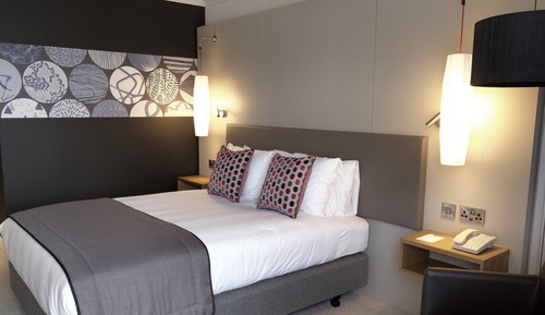 Standard Room, 1 King Bed, Accessible (Super King, View)