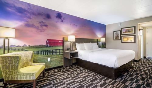 Standard Room, 1 King Bed, Non Smoking