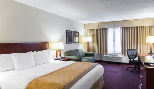 Standard Room, 1 King Bed with Sofa bed, Non Smoking