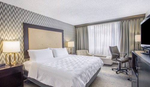 Standard Room, 1 King Bed, Roll-in Shower (Communications)