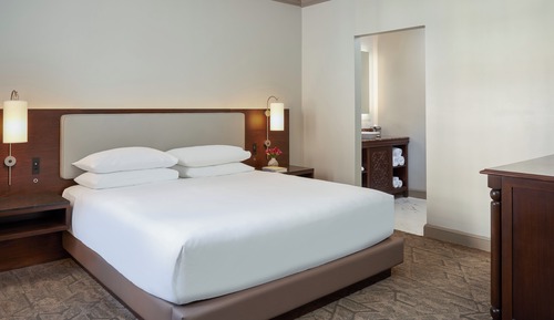 Room, 1 King Bed, Accessible (Shower)