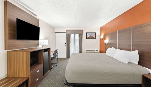Standard Room, 1 King Bed, Non Smoking