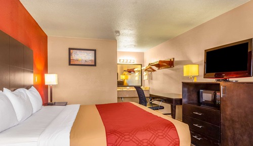 Room, 1 King Bed, Smoking