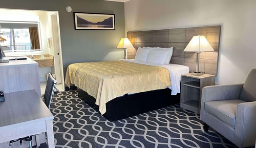 Standard Room, 1 King Bed, Non Smoking