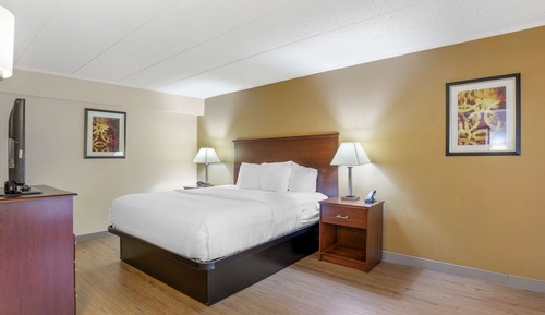 Standard Room, 1 King Bed, Accessible, Refrigerator & Microwave