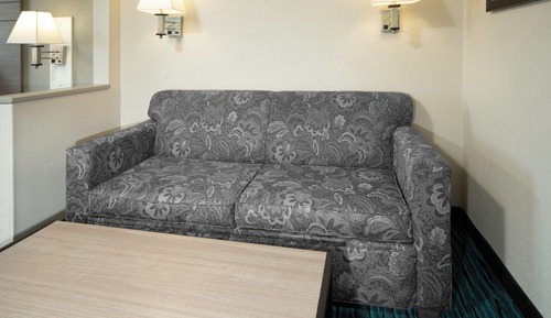 Suite, 1 King Bed with Sofa bed