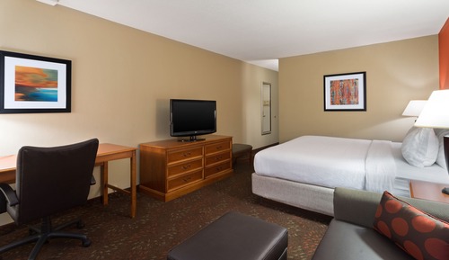 Standard Room, 1 King Bed, Accessible Bathtub (Mobility)