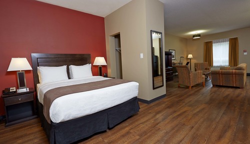 Room, 1 Queen Bed, Non Smoking (Efficiency, Pet Friendly)