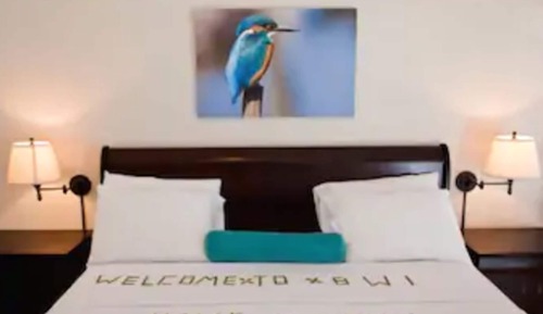 Standard Room, 1 King Bed, Beachfront