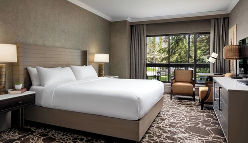 Room, 1 King Bed, Non Smoking