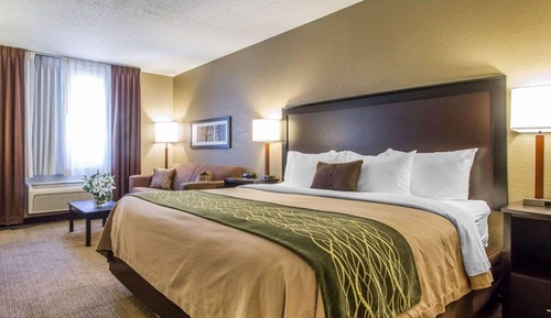 Standard Room, 1 King Bed, Non Smoking